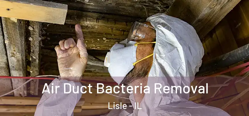  Air Duct Bacteria Removal Lisle - IL