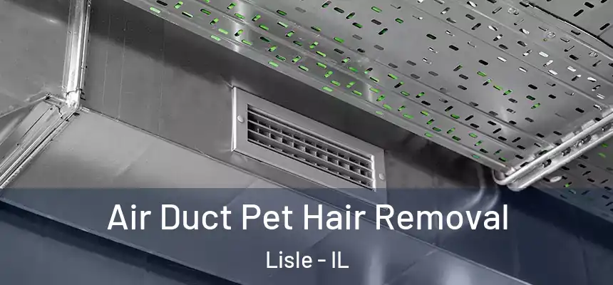  Air Duct Pet Hair Removal Lisle - IL