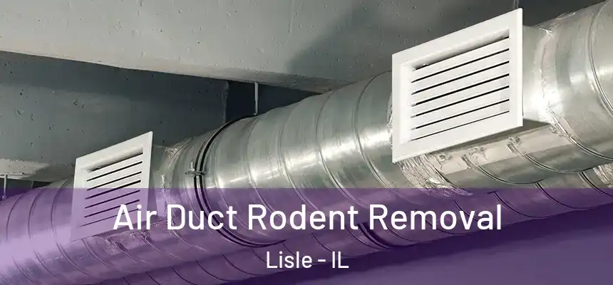  Air Duct Rodent Removal Lisle - IL
