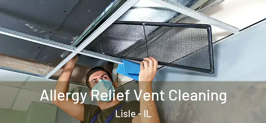  Allergy Relief Vent Cleaning Lisle - IL