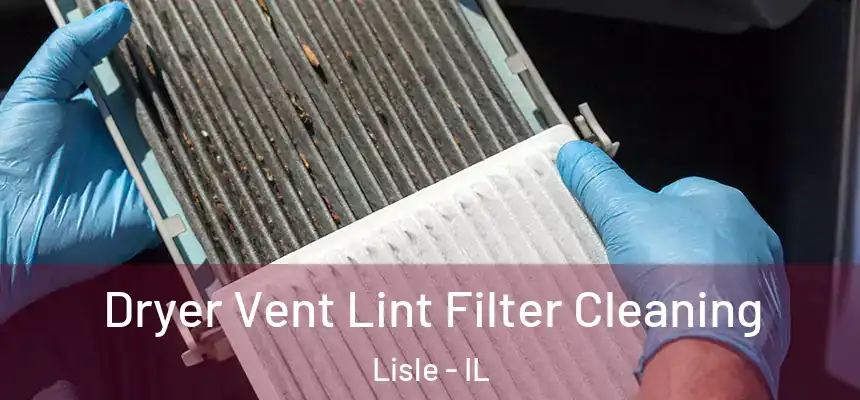  Dryer Vent Lint Filter Cleaning Lisle - IL