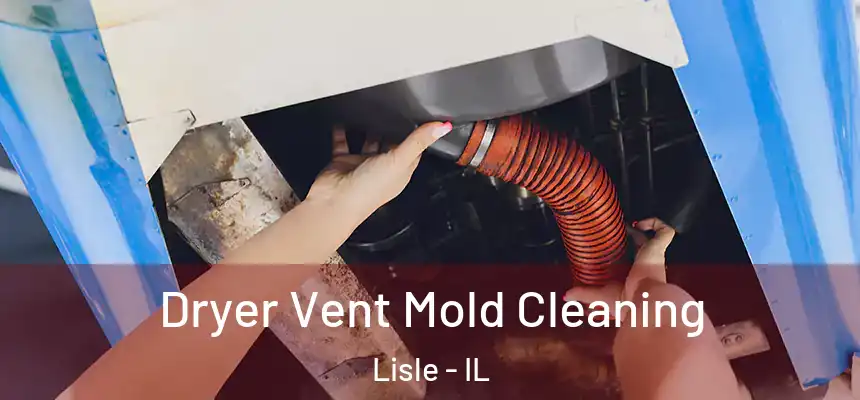  Dryer Vent Mold Cleaning Lisle - IL