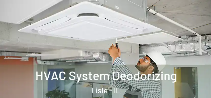  HVAC System Deodorizing Lisle - IL