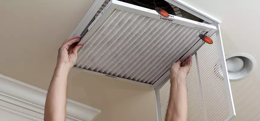 Preventive Cockroach-Proofing for Ducts in Lisle