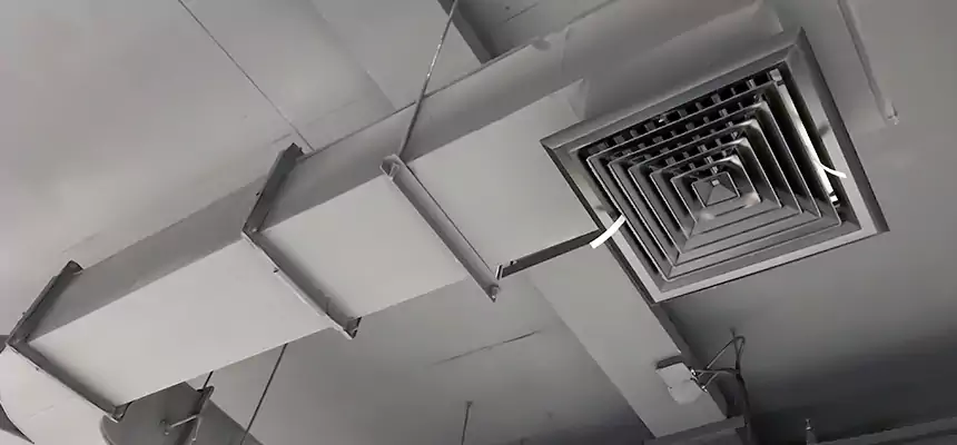 Restorative Allergy Relief Vent Cleaning – Coil, Blower & Housing Detail in Lisle