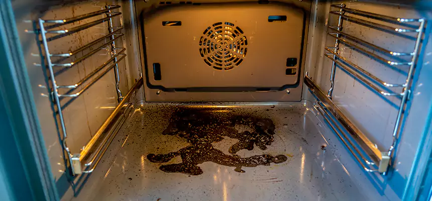 Our Dryer Vent Mold Cleaning Services in Lisle, IL