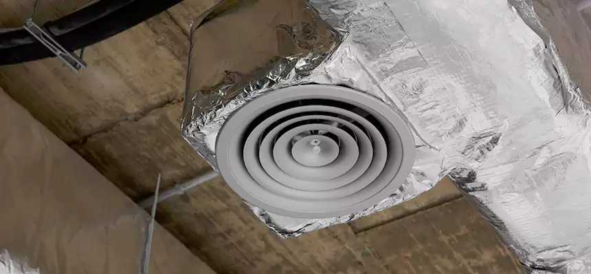 Our Excess Lint Removal from Dryer Ducts Services in Lisle, IL