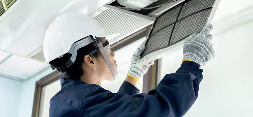 Our Mold & Mildew Removal from Air Ducts Services in Lisle, IL