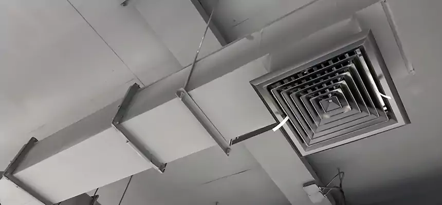 Our Rodent Droppings In Vents Services in Lisle, IL