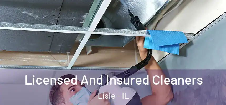  Licensed And Insured Cleaners Lisle - IL