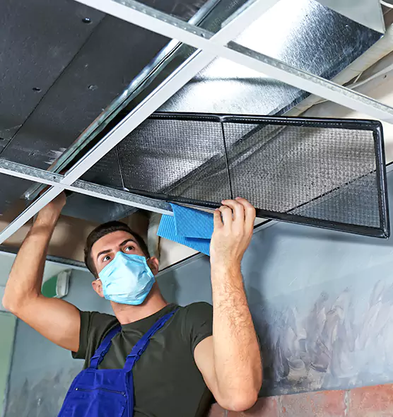 About Air Duct Bacteria Removal in Lisle
