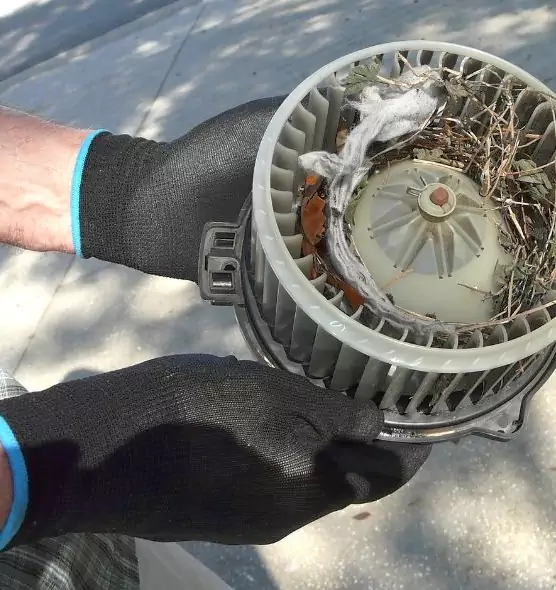 About Air Duct Mice Removal in Lisle, IL