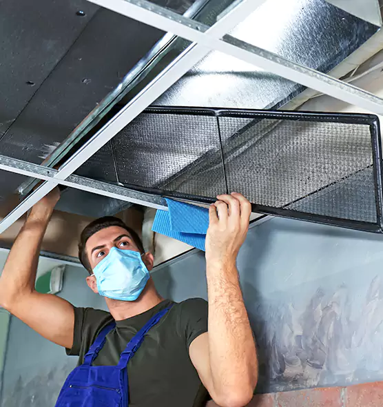 Professional Air Duct Pollen Cleaning in Lisle, IL